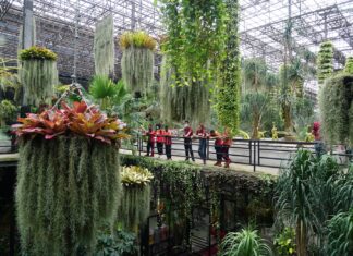 Pattaya prepares to welcome visitors during APEC summit holidays