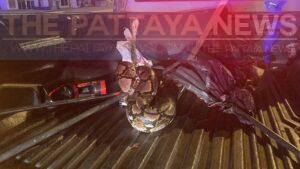 Unlucky Pattaya Rescuer Gets Scared and Falls Out of his Truck After Python Escapes on Truck’s Bed