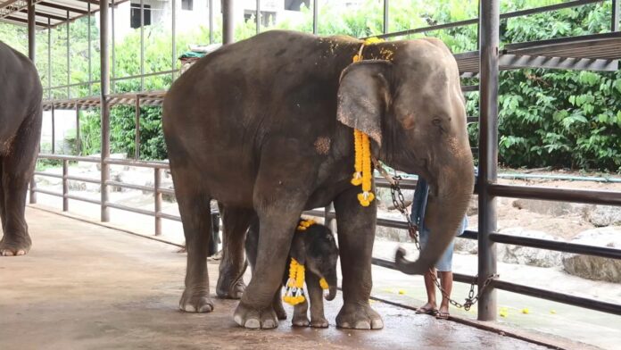 mp4_snapshot_03.45.880