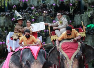 99 Couples Register for Marriage on Valentine’s With the Help of Elephants at Pattaya’s Nong Nooch Tropical Gardens