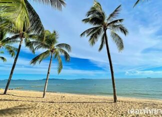 Reader Mailbag : Faut-il appliquer des règles plus strictes pour le trafic le long de la plage de Dongtan ?