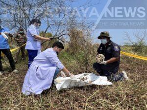 Human Skeleton Discovered Near Pattaya Reservoir