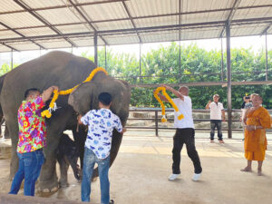 Pattaya’s Nong Nooch Gardens Welcomes New Baby Elephant