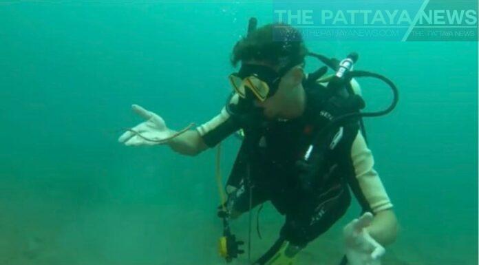 346283684_1184031618952987_3640112525276487515_n