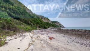 Unidentified Male Body Found on Koh Larn Beach, Police Investigating, Foul Play Not Ruled Out
