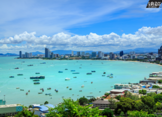 Thai Economic Expert Warns of Potential Economic Slump Due to Possible Street Protests