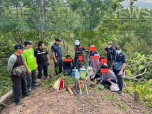 Timber Cutters Arrested in Reserved Forest in Chiang Mai