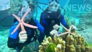 Two Chinese Tourists Charged in Phuket After Inappropriate Starfish Incident