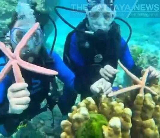 Двум китайским туристам предъявлено обвинение на Пхукете после неуместного инцидента с морской звездой