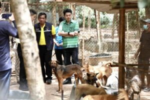 Pattaya Mayor Visits Dog Shelter