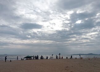 China a Significant Driver to Recovery of Thai Economy, Says Prominent Economist