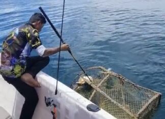 Умершая черепаха, пойманная в ловушку для рыбы в Паттайском море