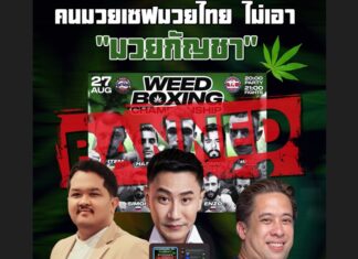 Weed Boxing Championship on Samui Island Banned