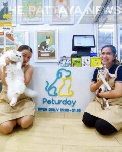 Peturday: Elevating Pet Care in Pratumnak, Pattaya