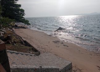 Medical Bytes No 98: “Look after your Stem Cells and they will look after you”.