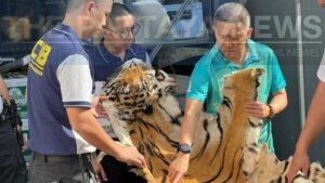 Thai Authorities Seize Over 500 Unregistered Wild Animal Carcasses, Arrest Wildlife Trader