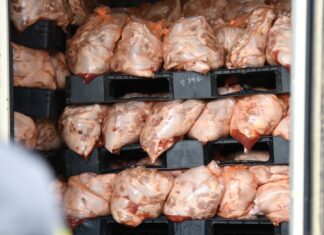 5,100 Kilograms of Illegal Meat Seized in Chonburi