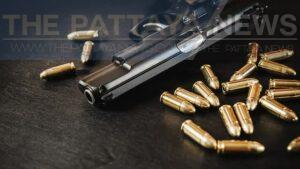 Government Expedites Firearm Control Efforts