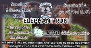 Elephant Run 2023 for a Good Cause This Weekend in Pattaya Area