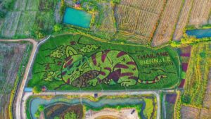 Thai Cat and Fish Rice Paddy Art Takes Center Stage at Thailand Biennale Chiang Rai 2023 on December 30