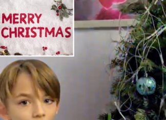 Japans top sweets brand Chateraise Xmas Cakes are available only at Tasty Central Sriracha and Pattaya!