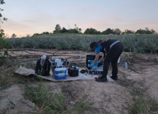 Unidentified Female Body Found in Chonburi Cassava Plantation
