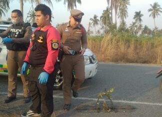 Pattaya Area Bird Trapper Electrocuted, Another Seriously Injured