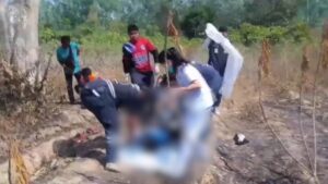 Man Found Dead Under Tree in Chonburi After Being Attacked by Bees and Falling Out of the Tree