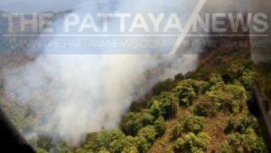 Ministry of Interior Drives Three Measures to Address Forest Fires, Haze, and PM2.5 Pollution
