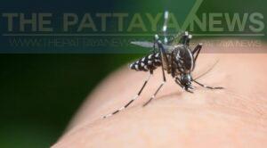 Dengue Surge Hits Provinces with 8,000+ Cases