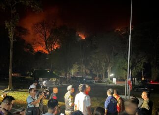Chiang Mai Forests Ravaged by Wildfires