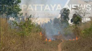 Human-Caused Fires Ravage Thai-Cambodia Border: Trat Authorities Take Action
