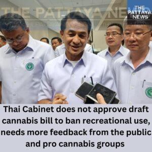 Editorial: Thai Cannabis Draft Law Banning Recreational Use Delayed, Opposing Sides Must Find Common Ground