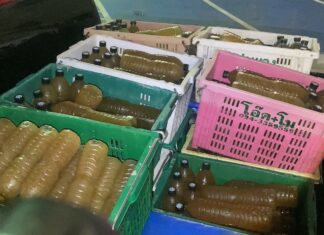 Pattaya Police Seize 300 Bottles of Illicit Kratom Juice