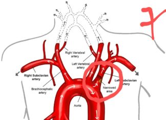 Medical Bytes Thailand Number 102: When Is It Too Late to Stop Smoking?
