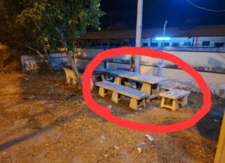 Thief Steals Benches from Pattaya Rescue Foundation