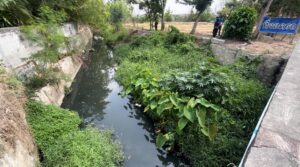 Pattaya Officials Investigate Naklua Canal Pollution After Resident Complaints