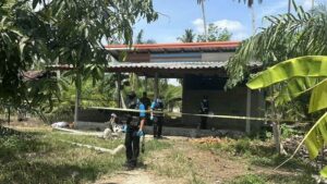 Son Decapitates Mother in Shocking Murder at Palm Garden in Surat Thani