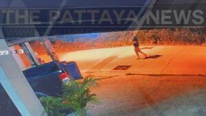 Russian Man Found Hanged in Pattaya Forest