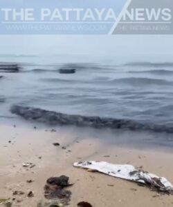 Viral Video Shows Murky Water Flowing into Na Jomtien Beach