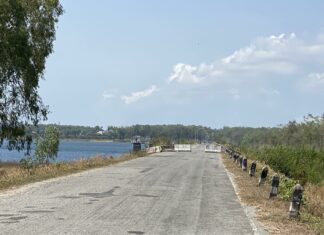 Reader Mailbox: My Experience Being Attacked by Stray Dogs in Pattaya