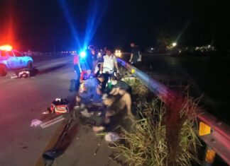 Young Daughter and Son Injured, Father Seriously, After Crashing into Guardrail in Pattaya