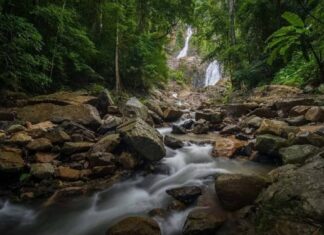 Top National Thailand Stories From the Past Week:Â Thailand to Serve as Backdrop for Jurassic World 4, and More