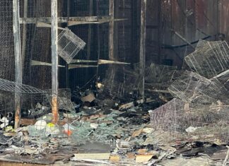 Top National Thailand Stories From the Past Week:Â Fire at Chatuchak Market Pet Zone, and More
