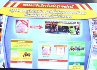 Italian Man Arrested on Samui Island for Allegedly Selling Cocaine and Illegally Operating a Motorbike Rental Shop