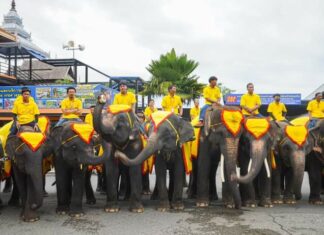 Nong Nooch Gardens in Pattaya Marks Religious Holidays