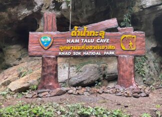 Tour Guide Dead, Thirty-two People, Mostly Foreign Tourists, Survive After Flash Flood in a Surat Thani Cave