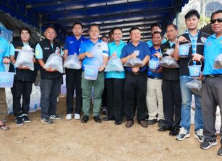 Joint Venture Releases Large Amount of Aquatic Animals into Banglamung Sea for Queen Mother’s 92nd Birthday
