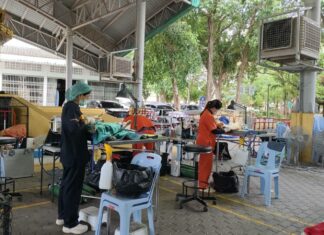 SOI DOG Foundation Offers Free Sterilization Service for Stray and Owned Dogs in Pattaya