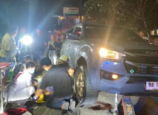 Motorcycle Rider Crashes into Pickup Truck After Avoiding Dog in Pattaya